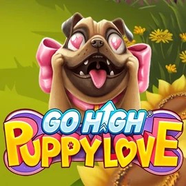 Go High Puppy Love online slot from RubyPlay – play at naobetcasino.eu