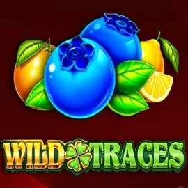 Wild Traces online game logo by Amusnet Interactive on naobetcasino.eu